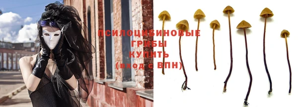 прущие крисы Алзамай