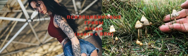 индика Алексеевка