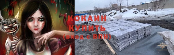 индика Алексеевка